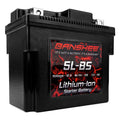 12V 90 CA Lithium Ion Sealed Battery L457489