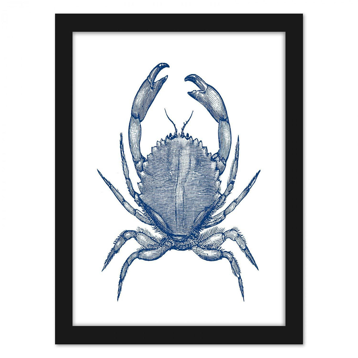 Black Frame Crab Quad Wall Art Z501