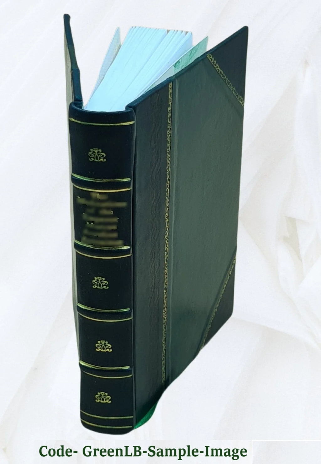 Gros : sa vie et ses ouvrages / par J. B. Delestre. 1867 [Leather Bound] T193