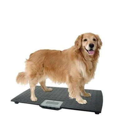 Large Digital Pet Scale - Black V6233