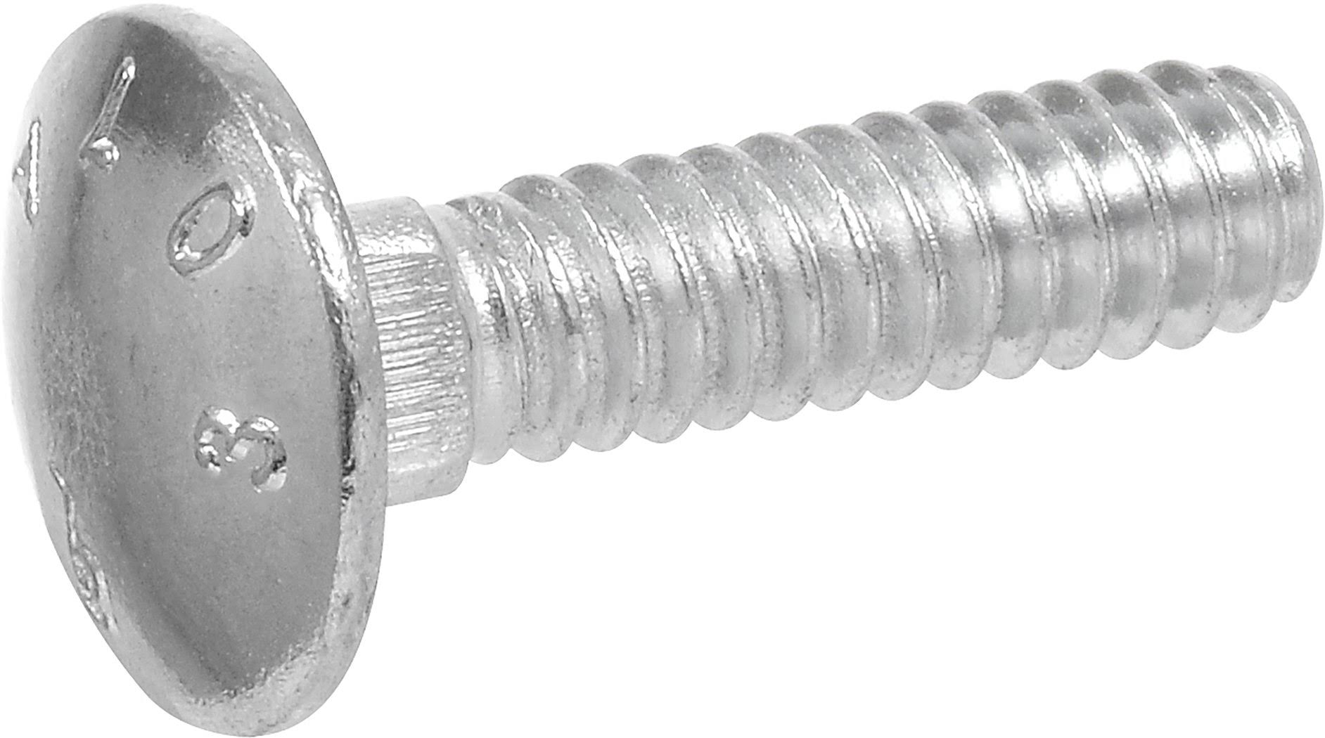 3/4-Inch x 8-Inch Carriage Bolt, 20-Pack C62974