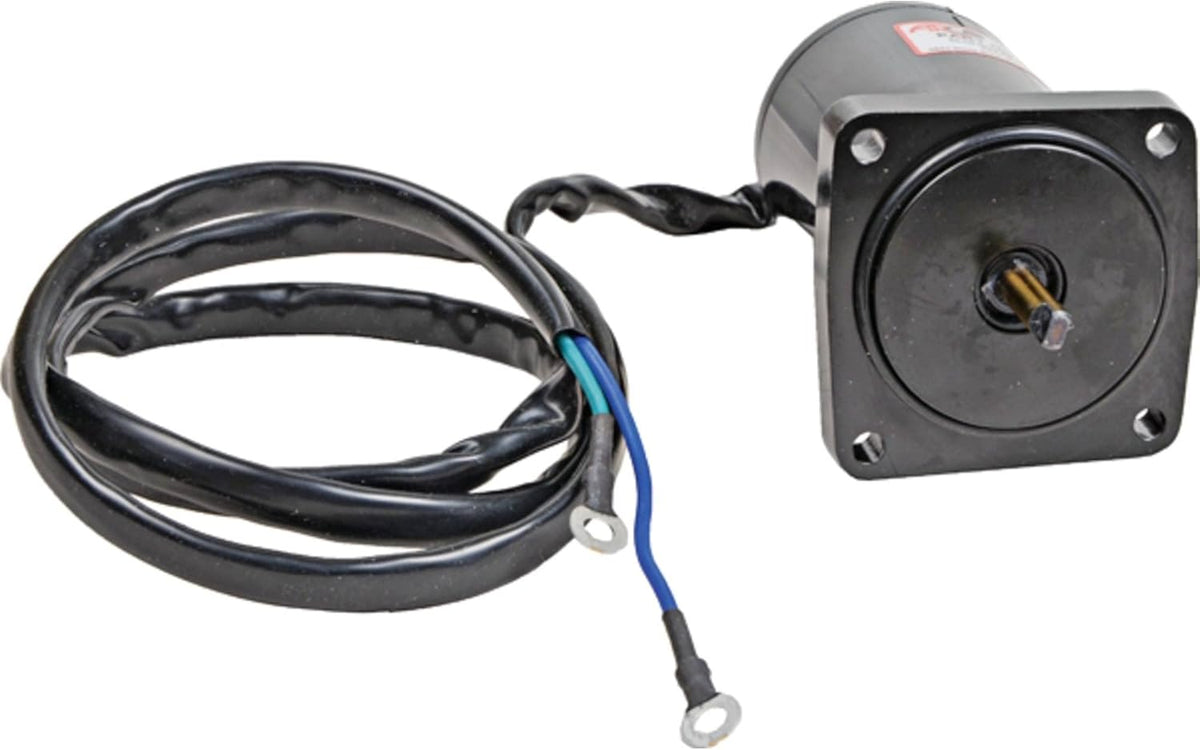 Tilt Trim Motor for Yamaha Outboard, 12 Volts L61154