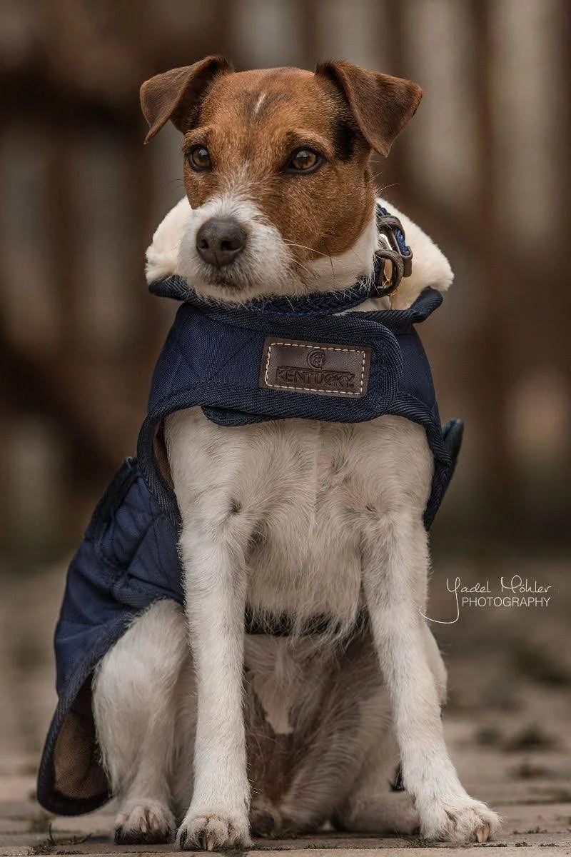Dog Coat 160g S833285