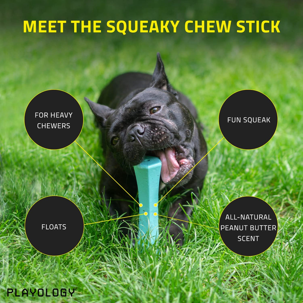 Blue Squeaky Dog Chew Stick Toy Z688