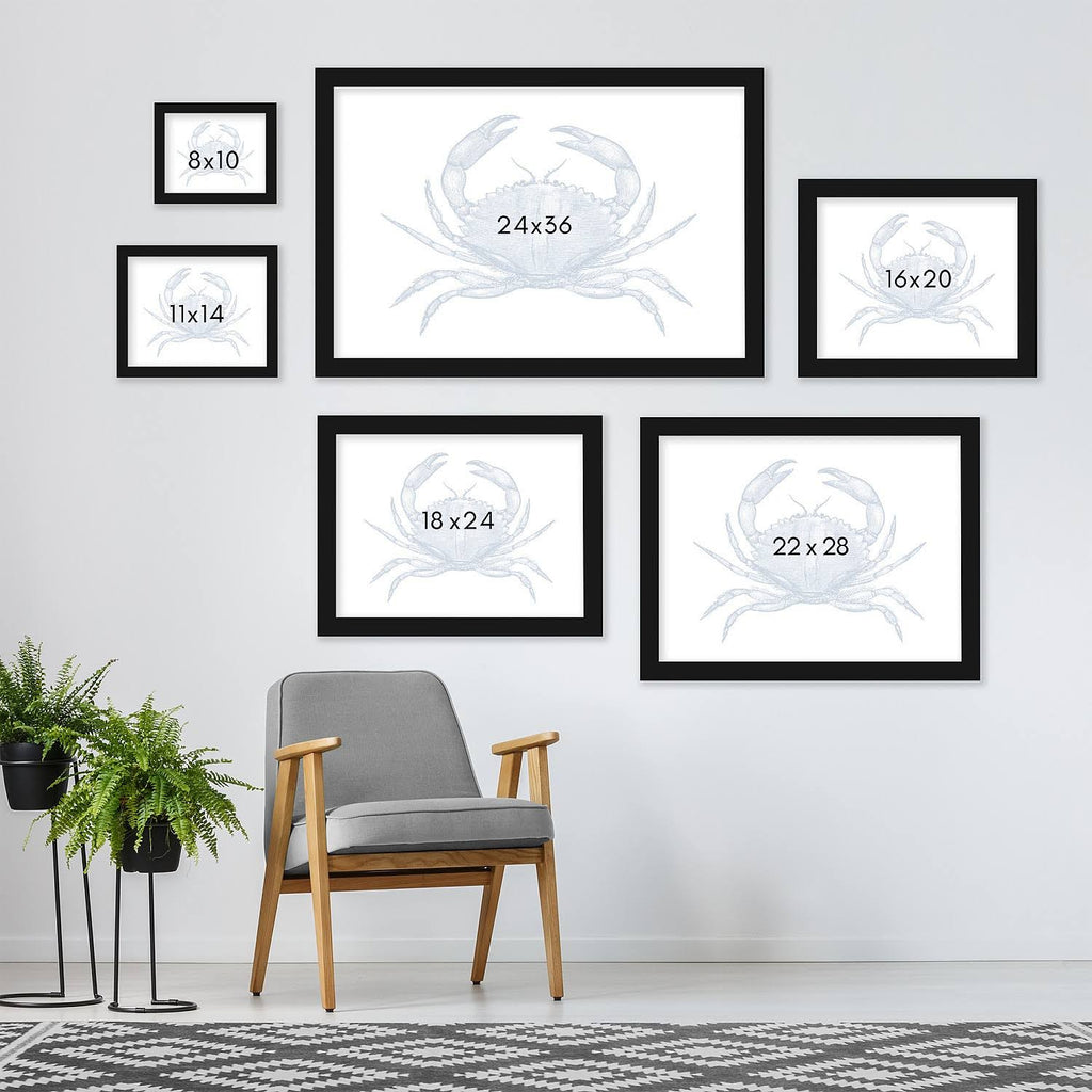 Black Frame Crab Quad Wall Art Z501