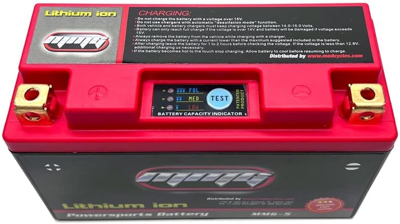 12V 280 CCA Lithium Ion Sealed Battery O179242