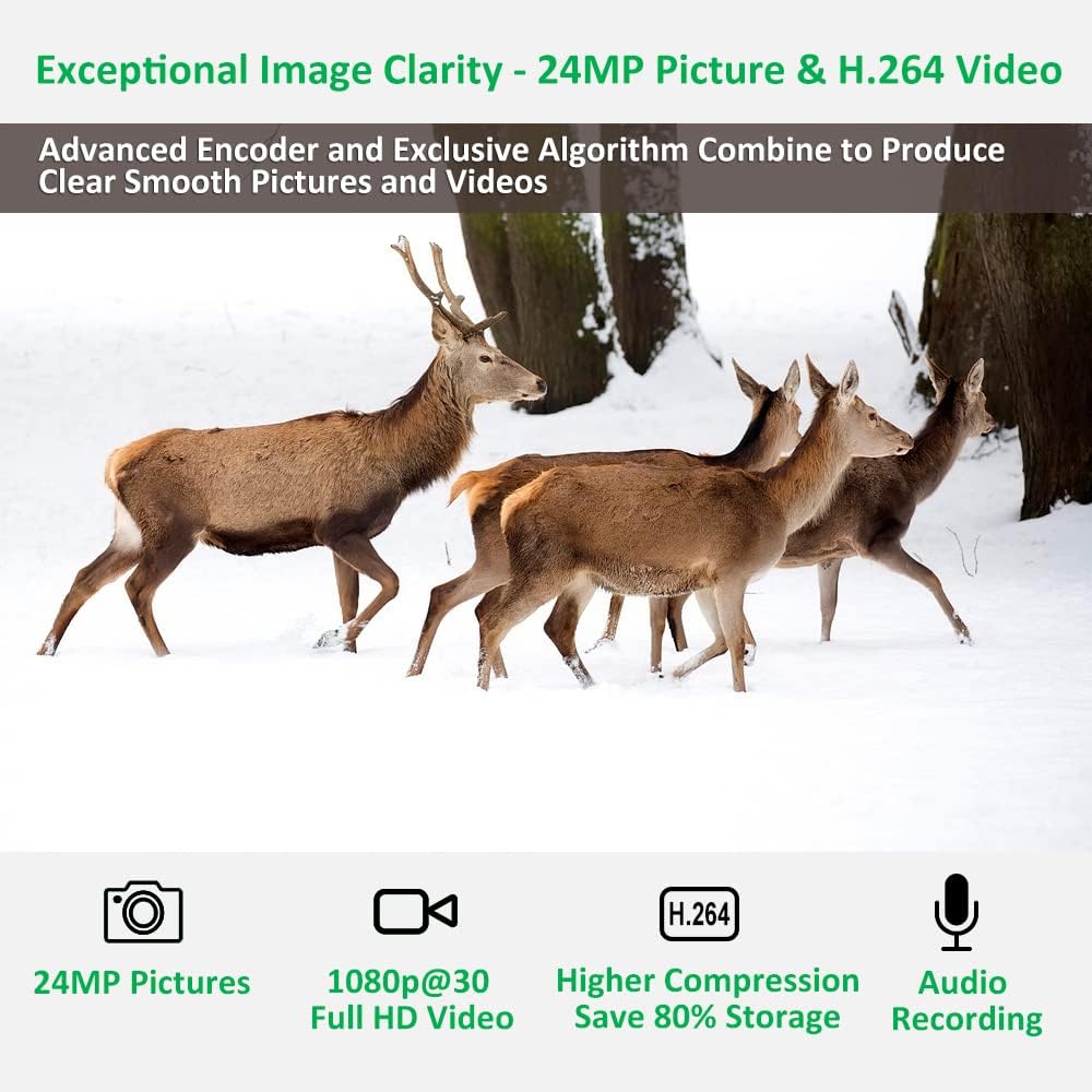 Trail Camera 24MP 1080P Waterproof Infrared Night Vision J9455