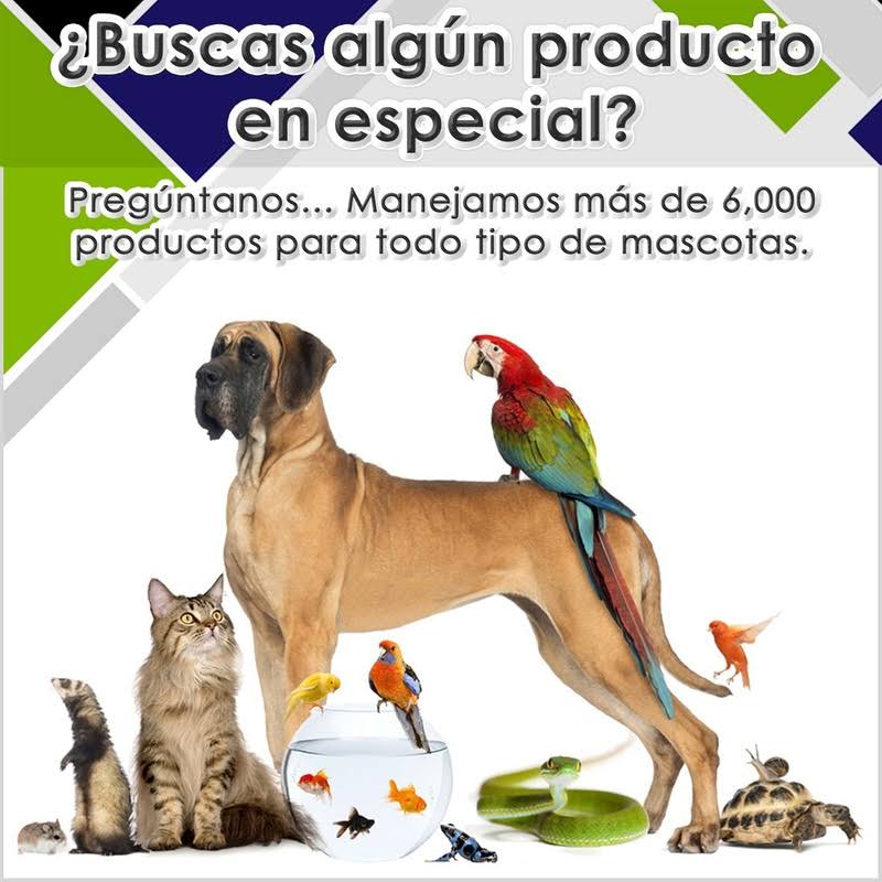 1.59 Kg Conejos Alimento E18581