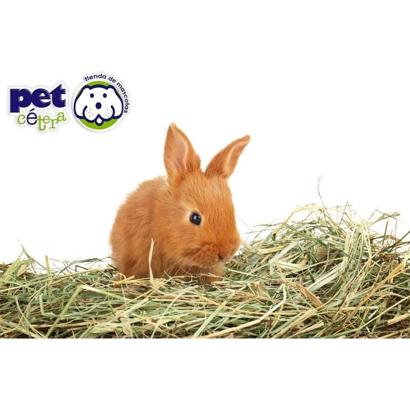 1.59 Kg Conejos Alimento E18581