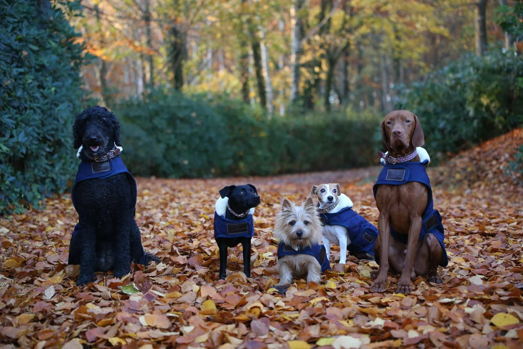 Dog Coat 160g S833285