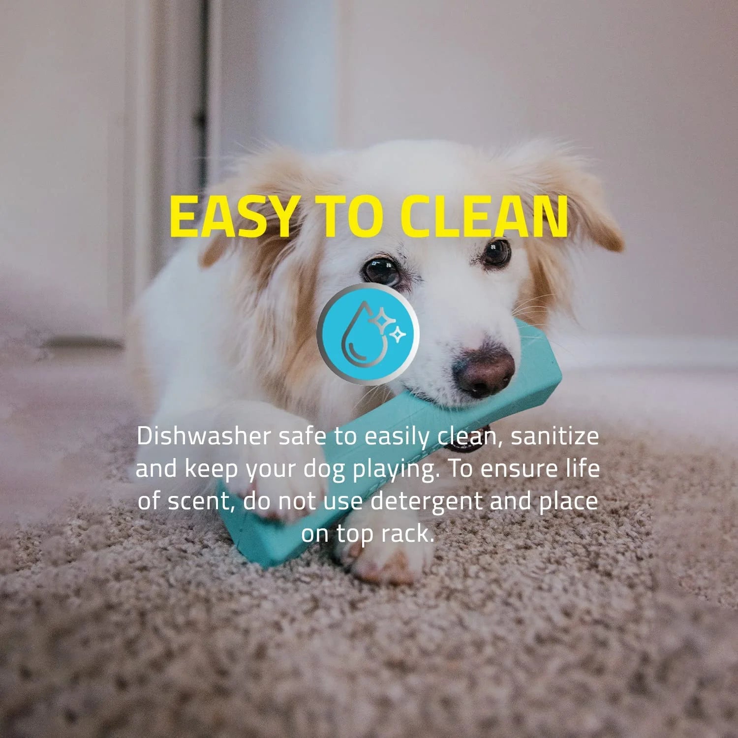 Blue Squeaky Dog Chew Stick Toy Z688