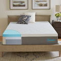 Queen Plush Memory Foam Mattress Q786960