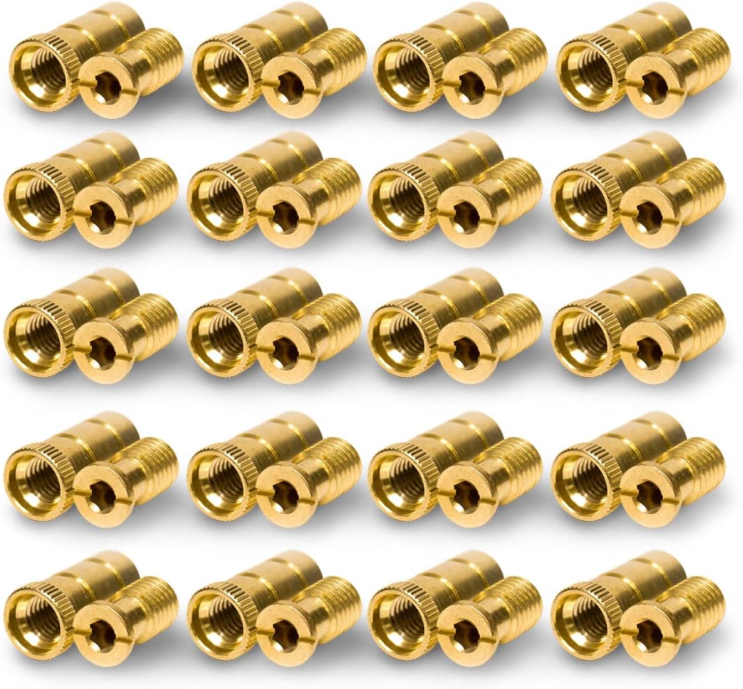 Pool Cover Anchors Concrete and Pavers Deck 20 Pack Brass Head Screw Bolts T22048