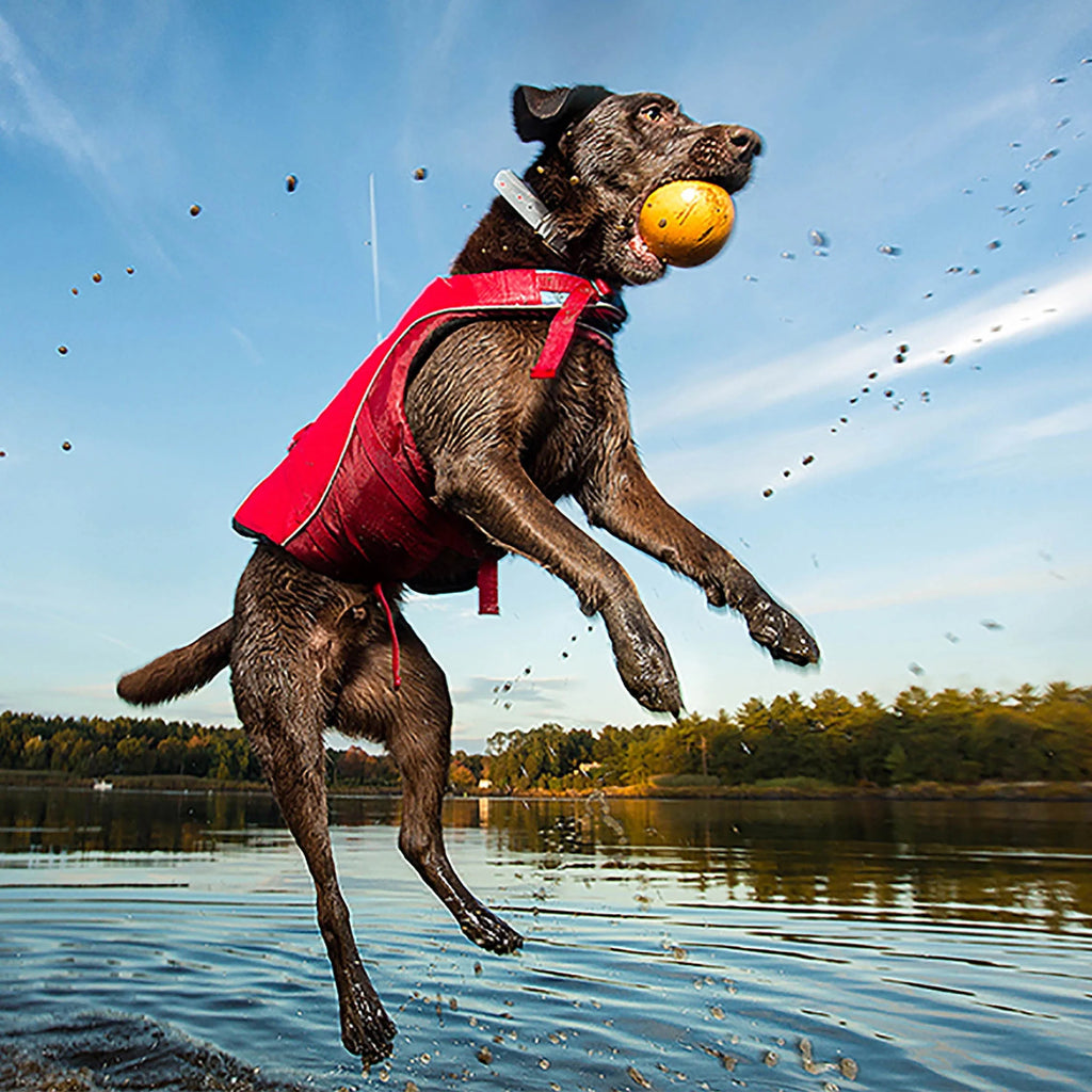Chili Red Reflective Dog Life Jacket K91427