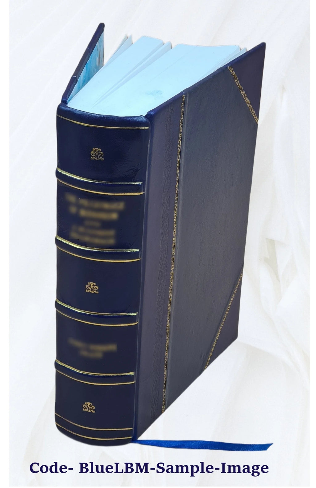 Leather Bound Book D33301