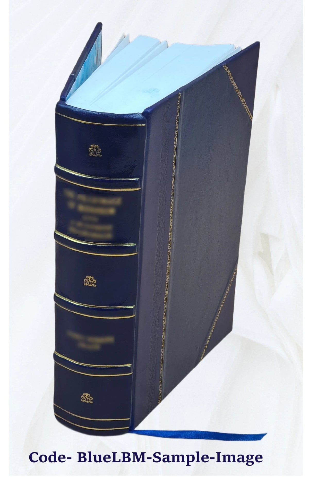 Leather Bound Book D33301