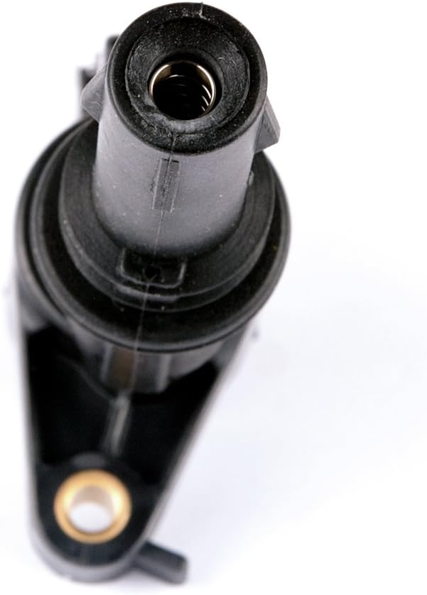 Ignition Coils and Spark Plugs Set of 8 U1726