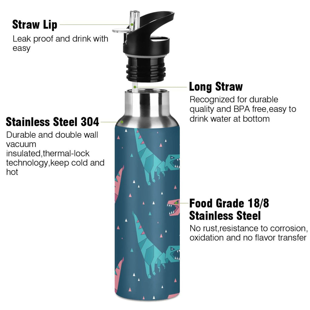 Stainless Steel Water Bottle with Straw Lid Vacuum Insulated 20 OZ G1878