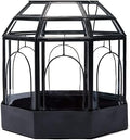 Metal Bottom Birdcage Terrarium, Handmade Glass and Steel Terrarium Y547