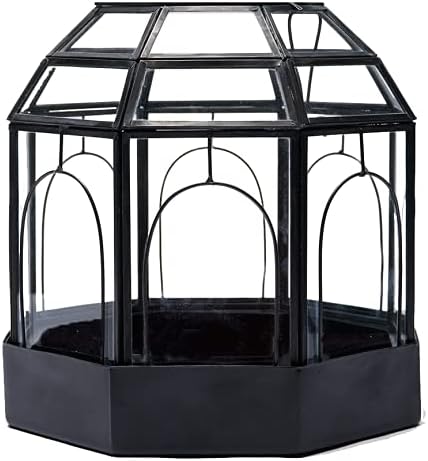 Metal Bottom Birdcage Terrarium, Handmade Glass and Steel Terrarium Y547