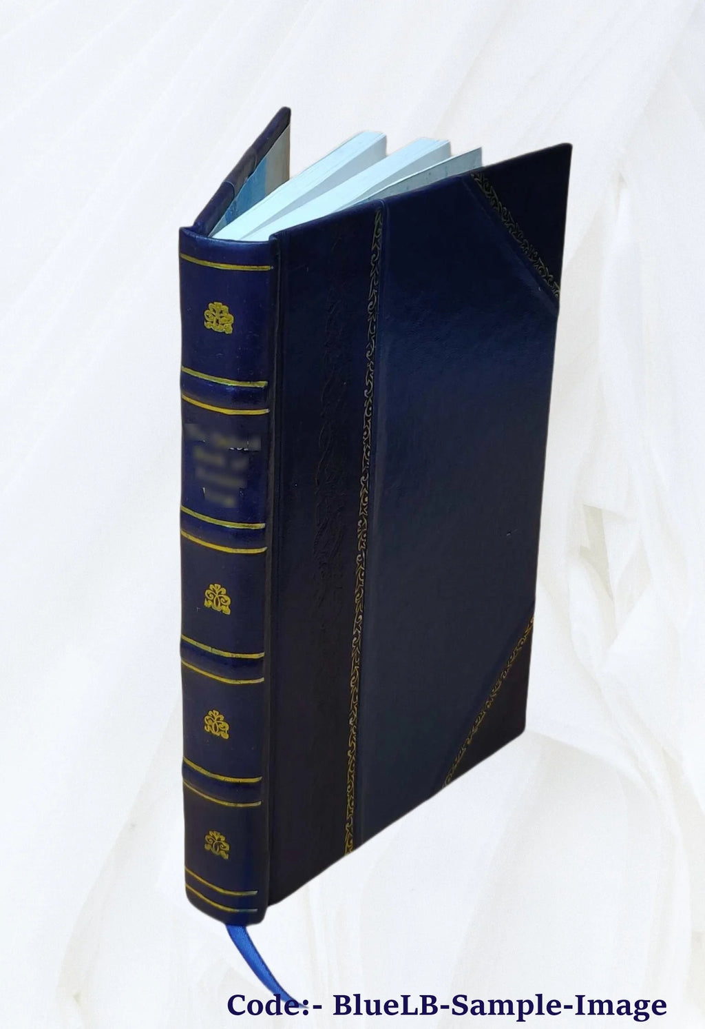 The high toby : being further chapters in the life and fortunes of Dick Ryder, otherwise Galloping Dick, sometime gentleman of the road 1906 [Leather Bound] B8593