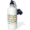 21 oz Sports Water Bottle D938
