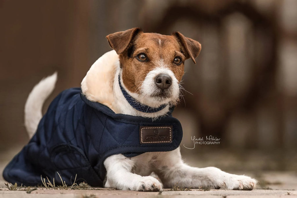 Dog Coat 160g S833285