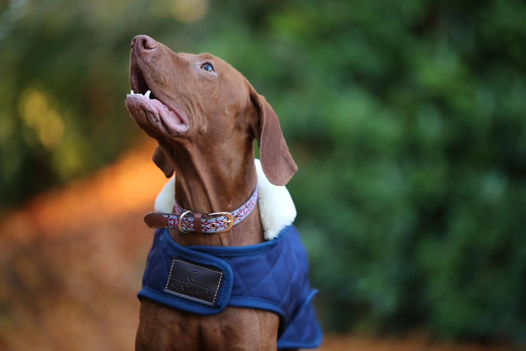 Dog Coat 160g S833285