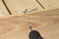 #8 x 3 Flat Head Star Drive 316SS Screw L81841