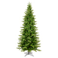 5.5 x 36 x 22 Balsam Spruce Slim I8267