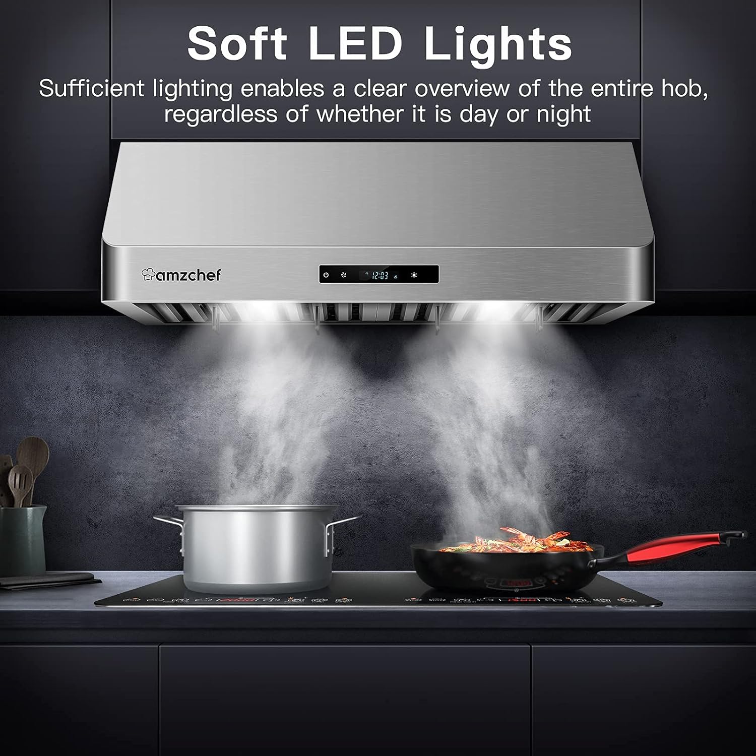 30 inch 700CFM Stainless Steel Wall Mount Range Hood V895096