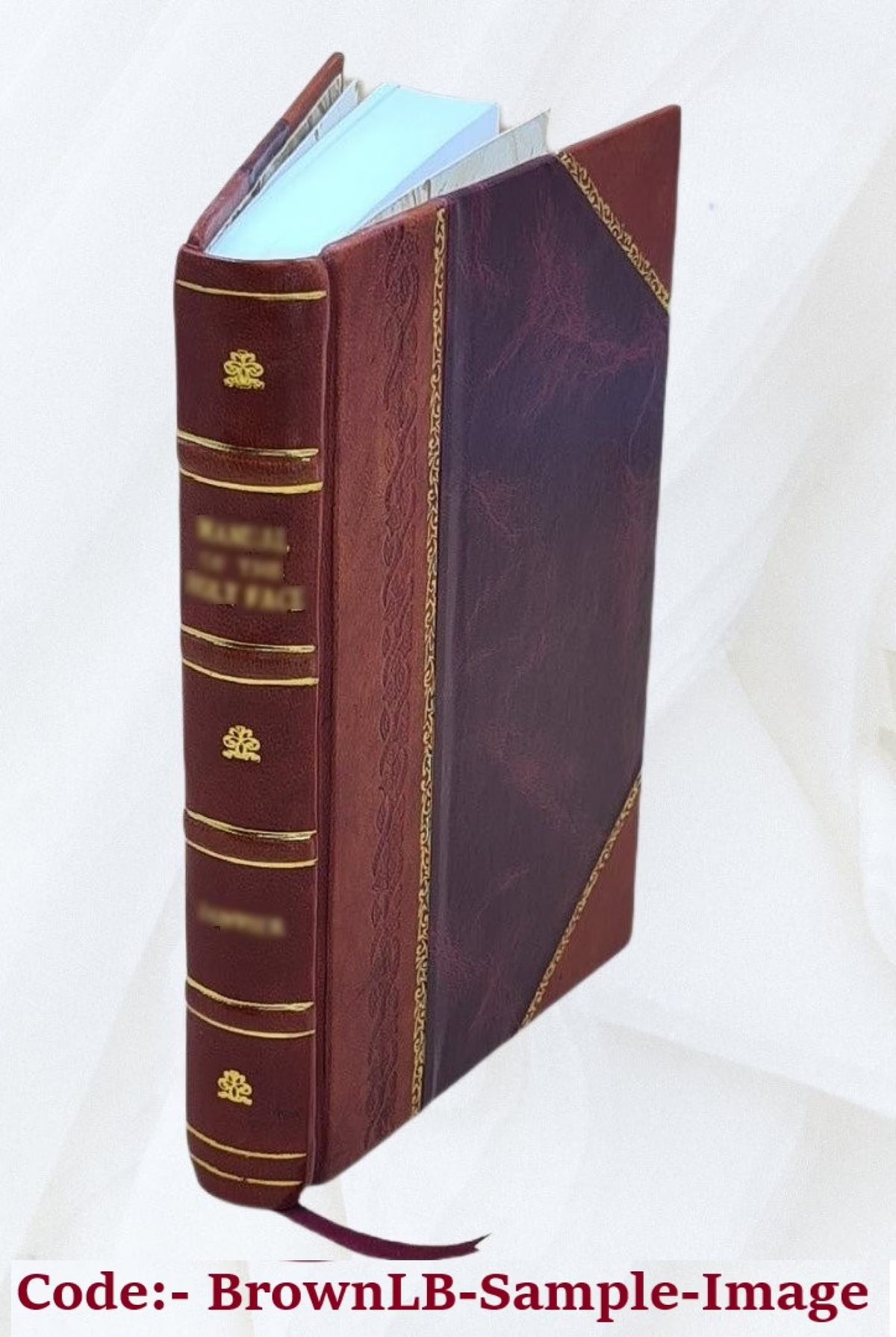 Gros : sa vie et ses ouvrages / par J. B. Delestre. 1867 [Leather Bound] T193