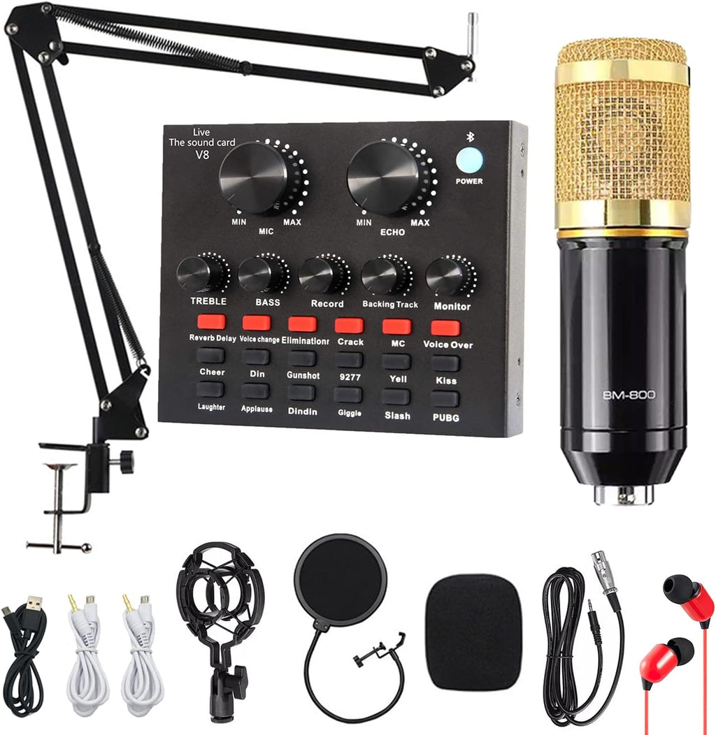 Gold Condenser Microphone Bundle Pack of 2 Z644