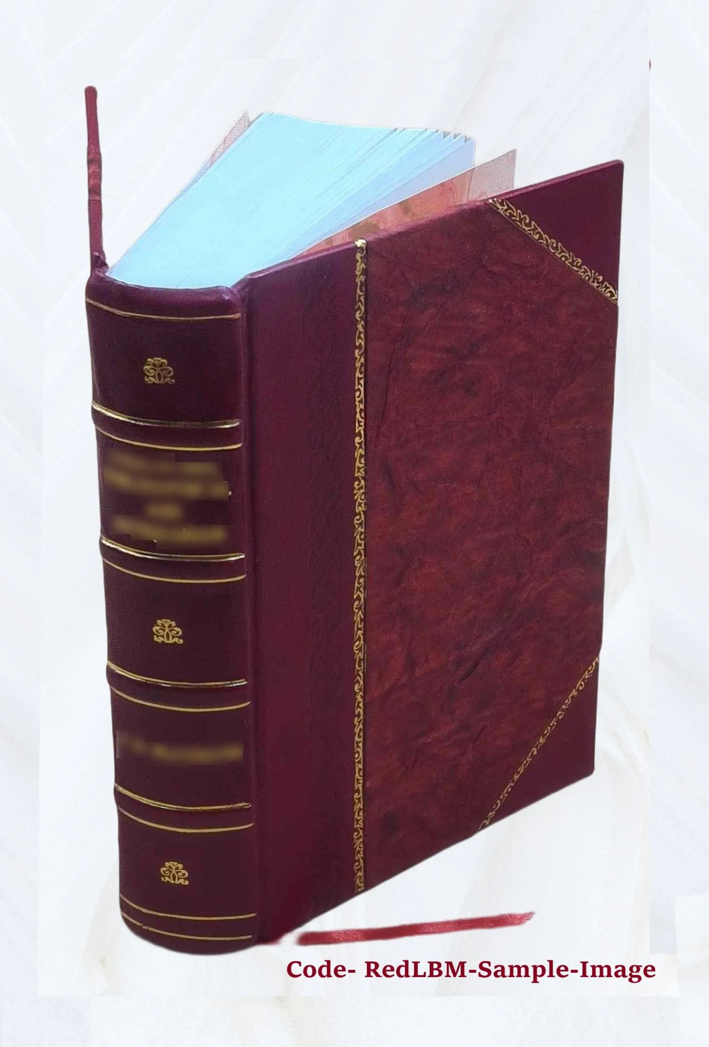 Leather Bound Book D33301