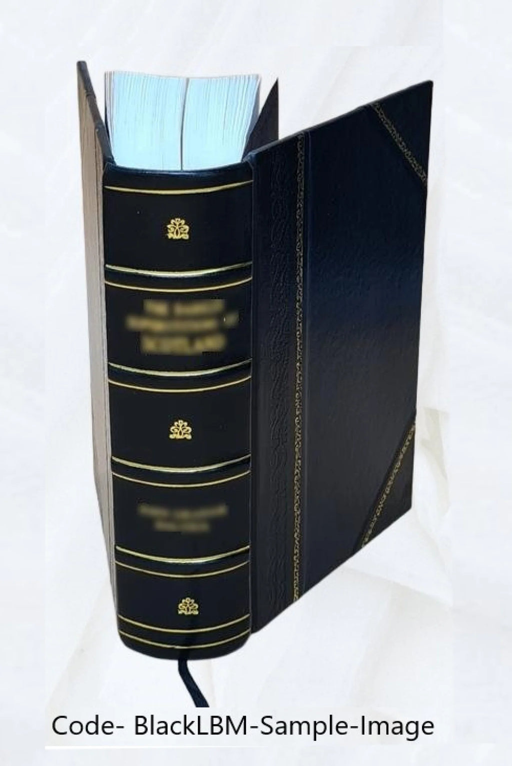 Leather Bound Book D33301