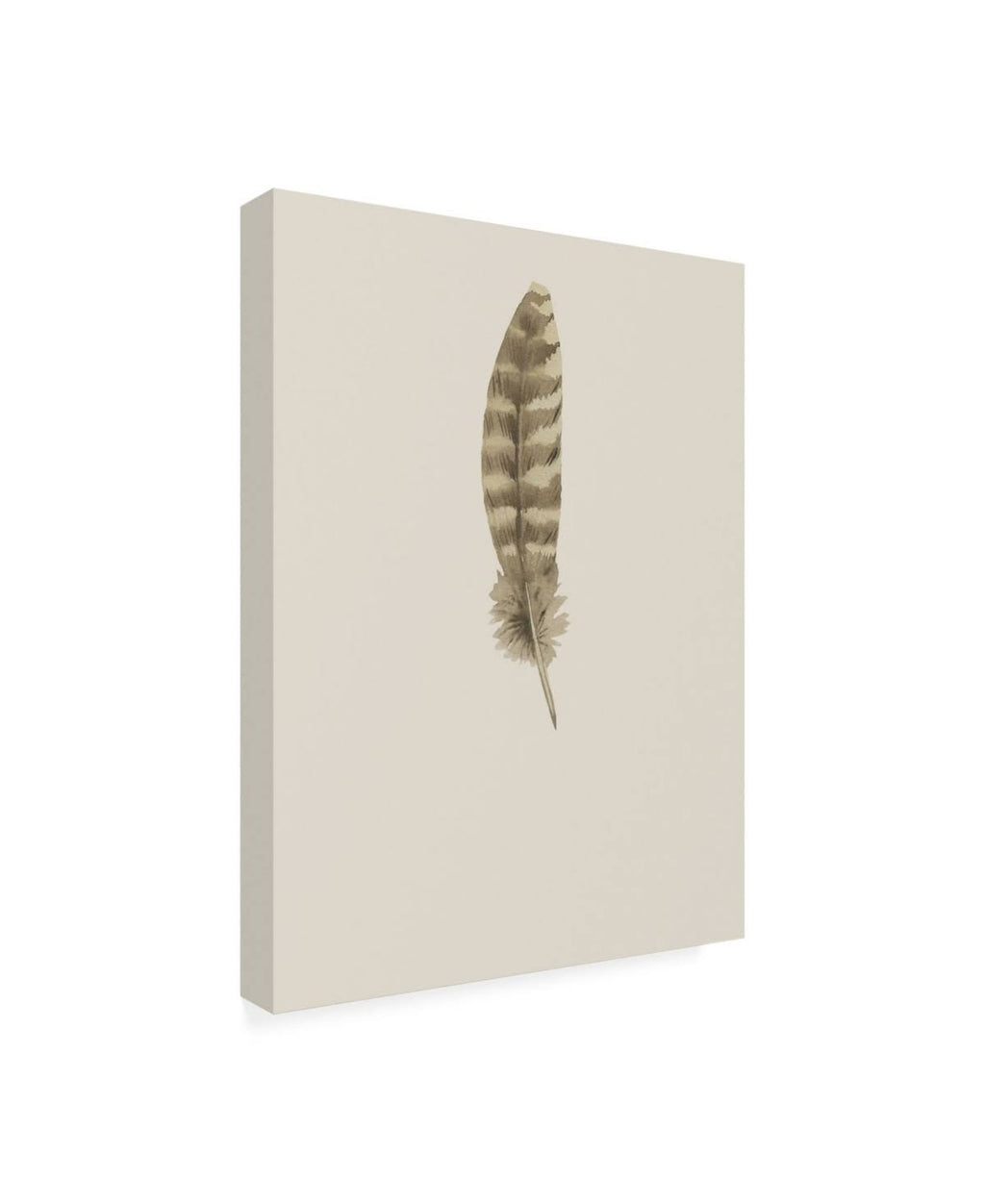 Canvas Art F254670