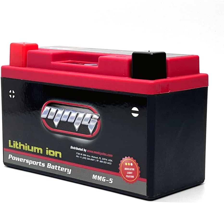 12V 280 CCA Lithium Ion Sealed Battery O179242