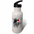 21 oz Sports Water Bottle Y937834