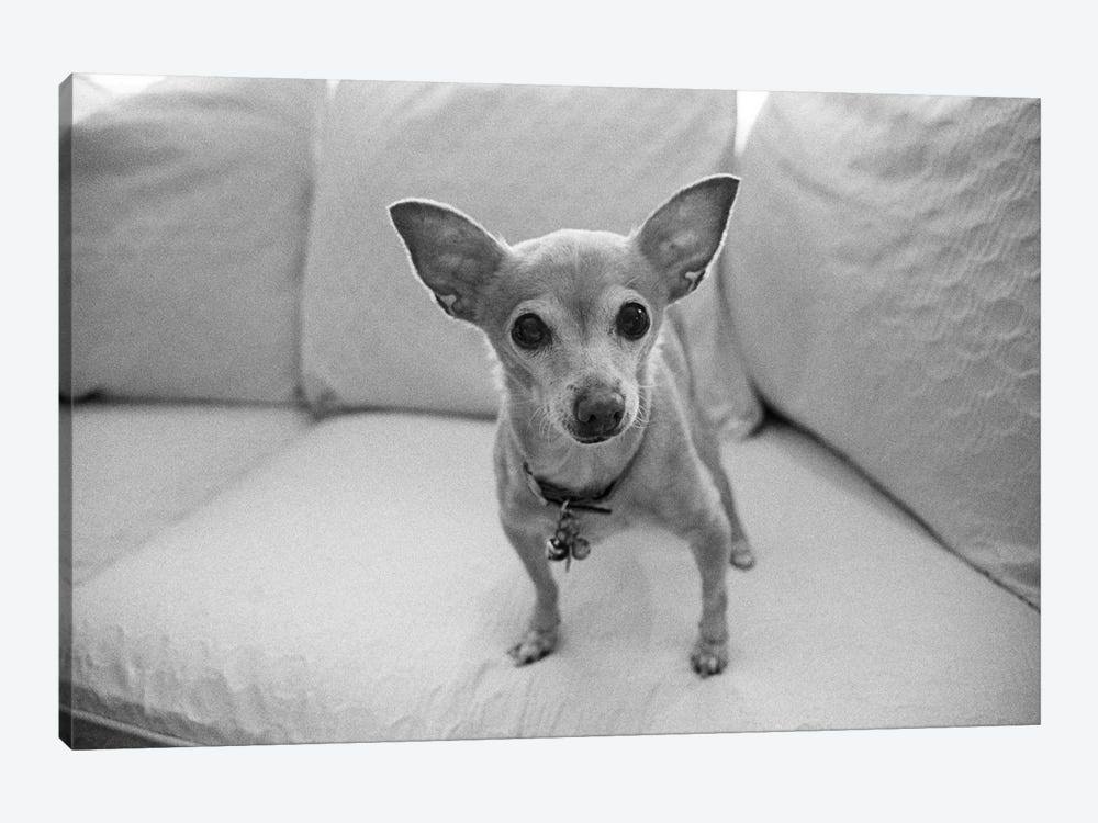 Canvas Wall Decor Prints B5227