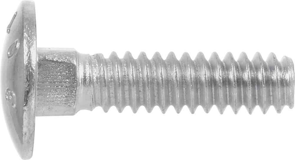 3/4-Inch x 8-Inch Carriage Bolt, 20-Pack C62974