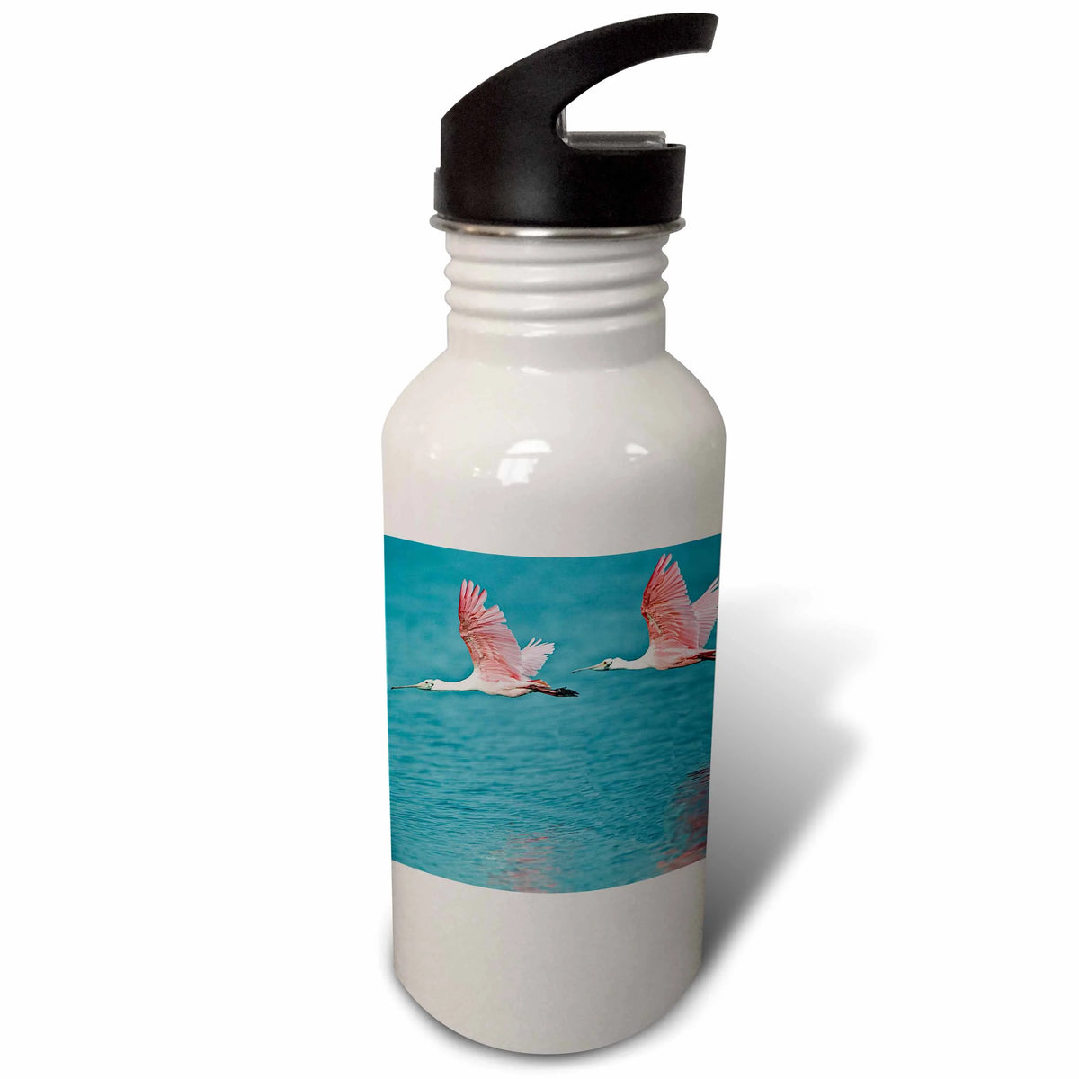 Roseate Spoonbill Birds Sports Water Bottle H49723