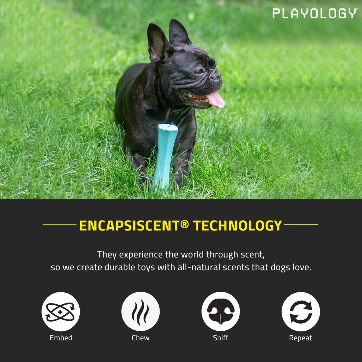 Blue Squeaky Dog Chew Stick Toy Z688