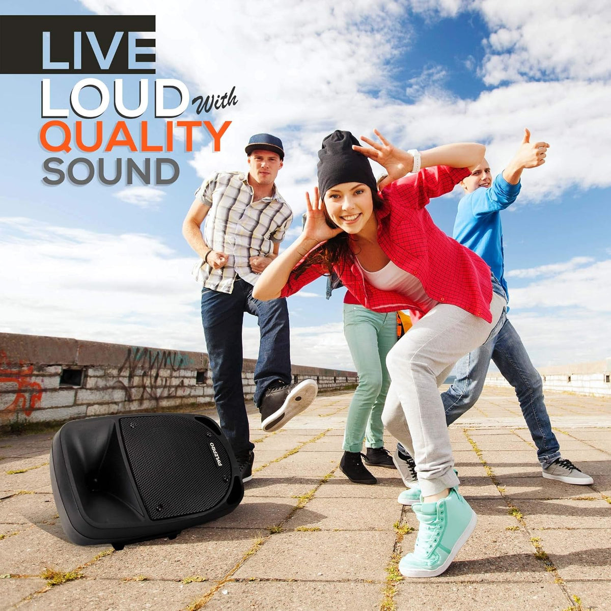 1000W Portable Bluetooth PA Speaker with UHF Wireless Microphone I18180