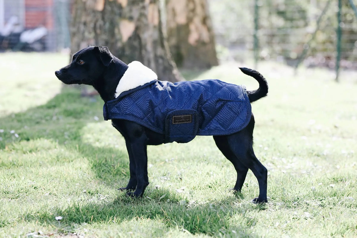 Dog Coat 160g S833285